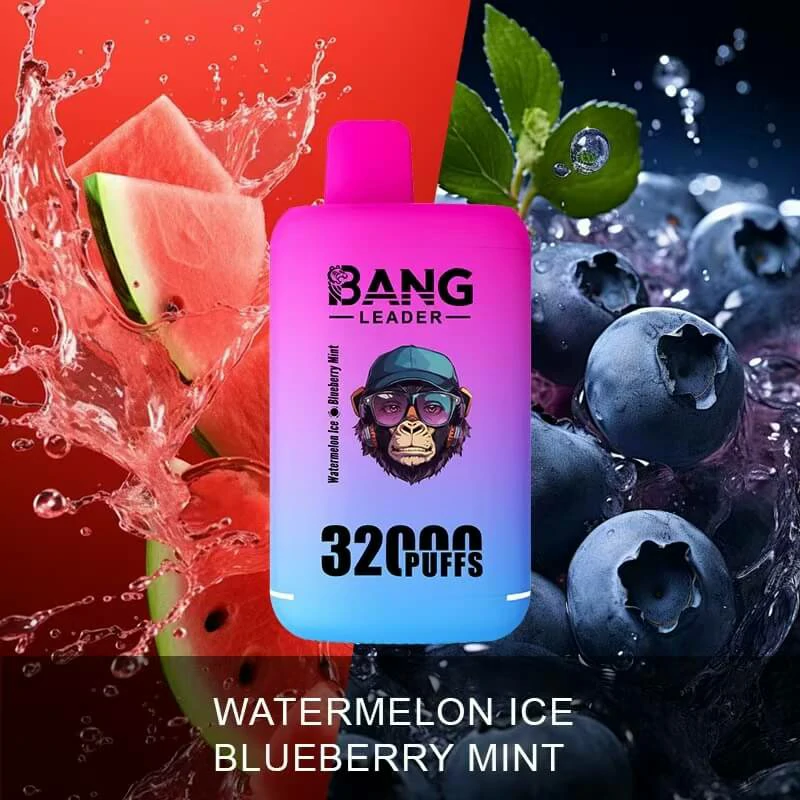 Bang Leader 32000 32K Bouffées 2-in-1 Saveurs Vape Jetable