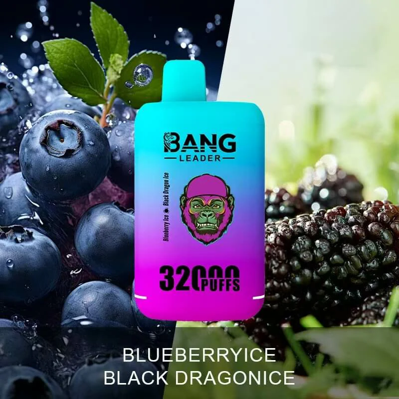 Bang Leader 32000 32K Bouffées 2-in-1 Saveurs Vape Jetable - image 3