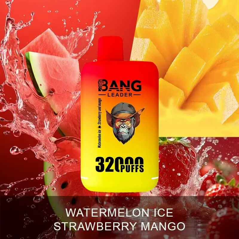 Bang Leader 32000 32K Bouffées 2-in-1 Saveurs Vape Jetable - image 2