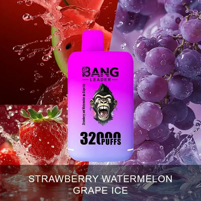 Bang Leader 32000 32K Bouffées 2-in-1 Saveurs Vape Jetable - image 9