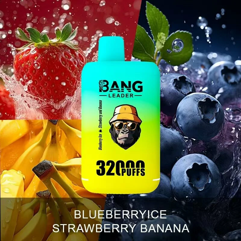 Bang Leader 32000 32K Bouffées 2-in-1 Saveurs Vape Jetable - image 5