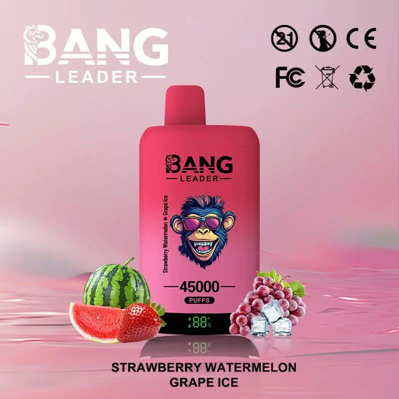 Bang Leader 2-in-1 45000 45K Bouffées Vape Jetable