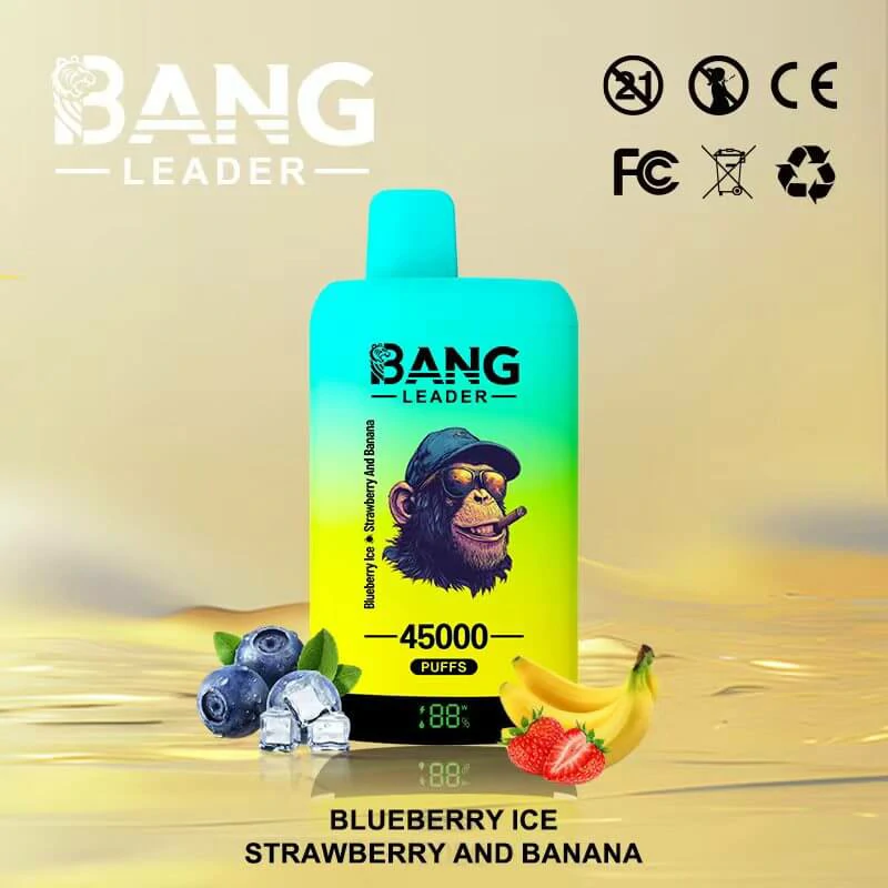 Bang Leader 2-in-1 45000 45K Bouffées Vape Jetable - image 2