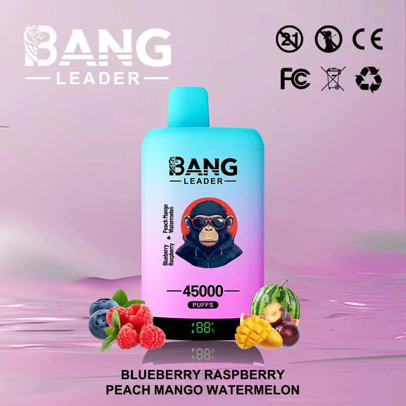 Bang Leader 2-in-1 45000 45K Bouffées Vape Jetable - image 4