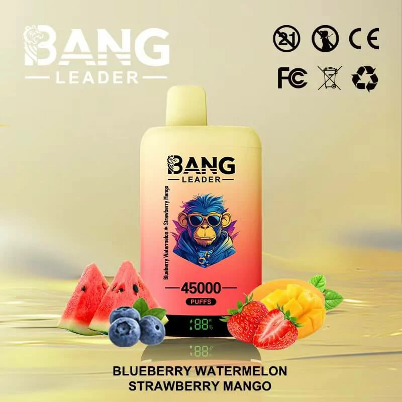 Bang Leader 2-in-1 45000 45K Bouffées Vape Jetable - image 5