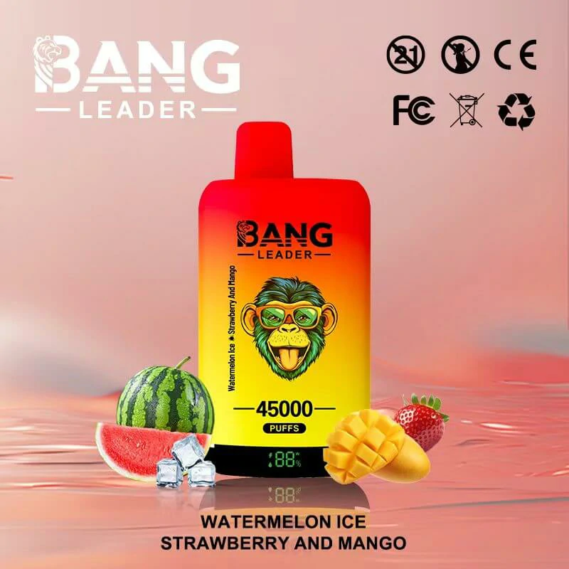 Bang Leader 2-in-1 45000 45K Bouffées Vape Jetable - image 7
