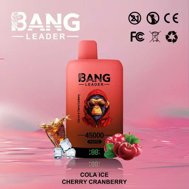Bang Leader 2-in-1 45000 45K Bouffées Vape Jetable - image 9
