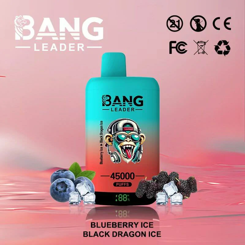 Bang Leader 2-in-1 45000 45K Bouffées Vape Jetable - image 10