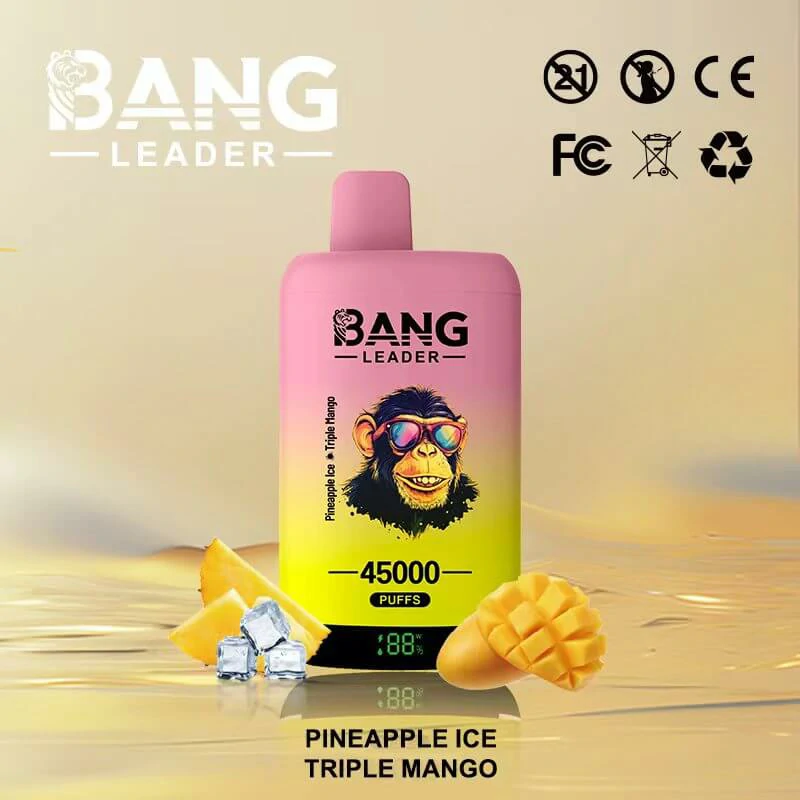 Bang Leader 2-in-1 45000 45K Bouffées Vape Jetable - image 8