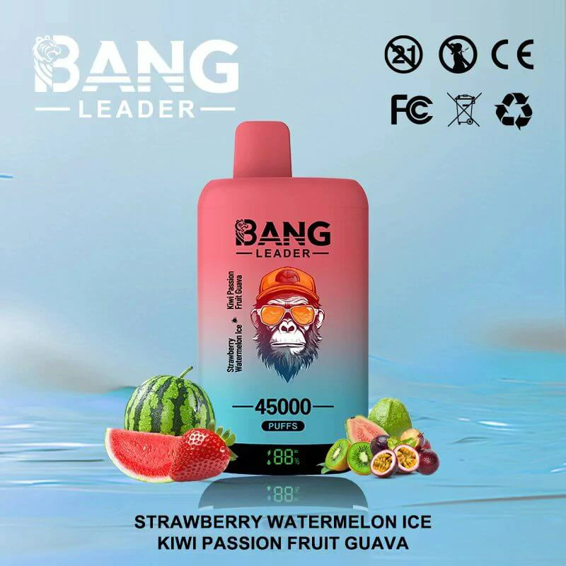 Bang Leader 2-in-1 45000 45K Bouffées Vape Jetable - image 11