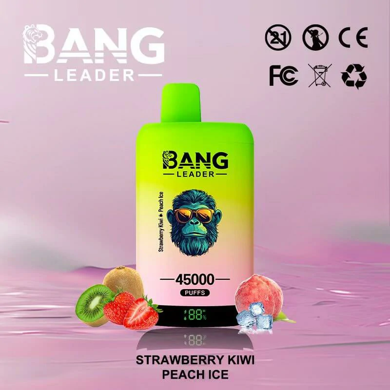 Bang Leader 2-in-1 45000 45K Bouffées Vape Jetable - image 12