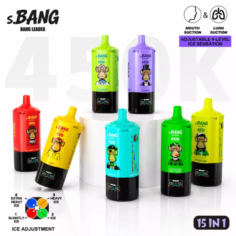 Bang Leader 450000 450K Bouffées 15-in-1 Vape jetable