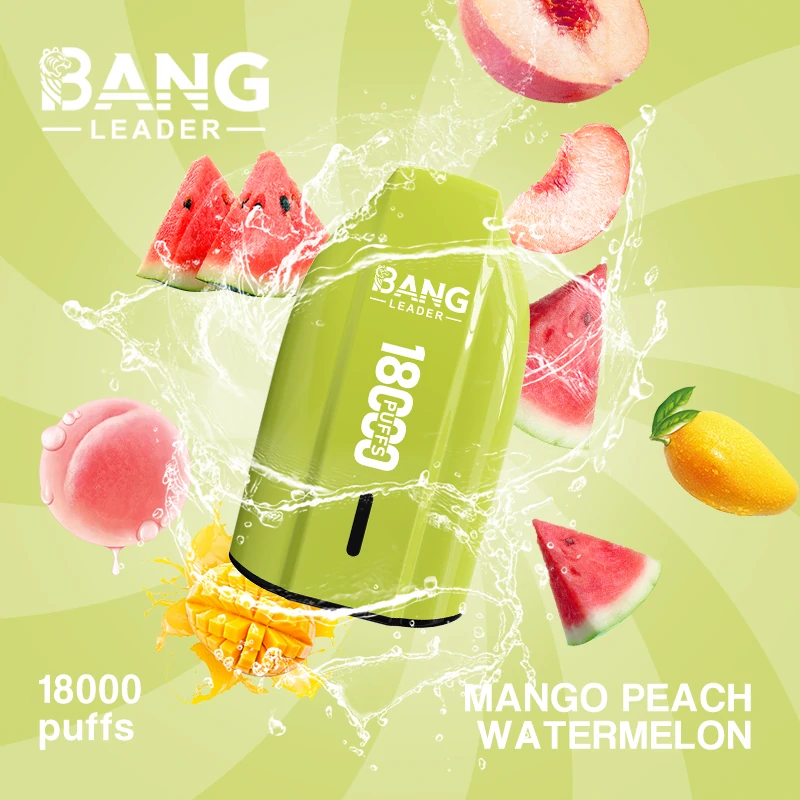 Bang Leader 18000 18K Bouffées Vape jetable - image 2