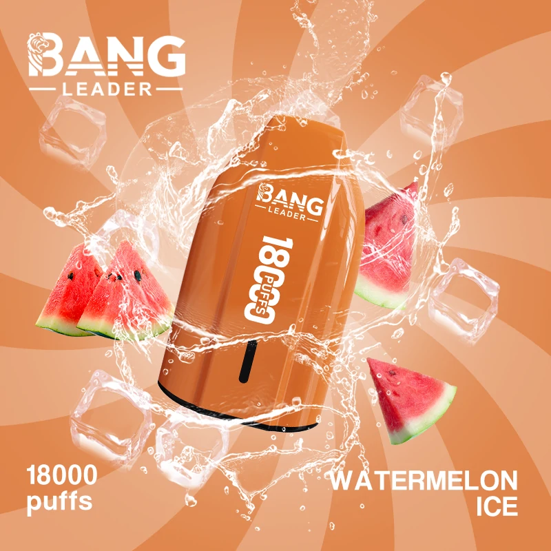 Bang Leader 18000 18K Bouffées Vape jetable - image 7