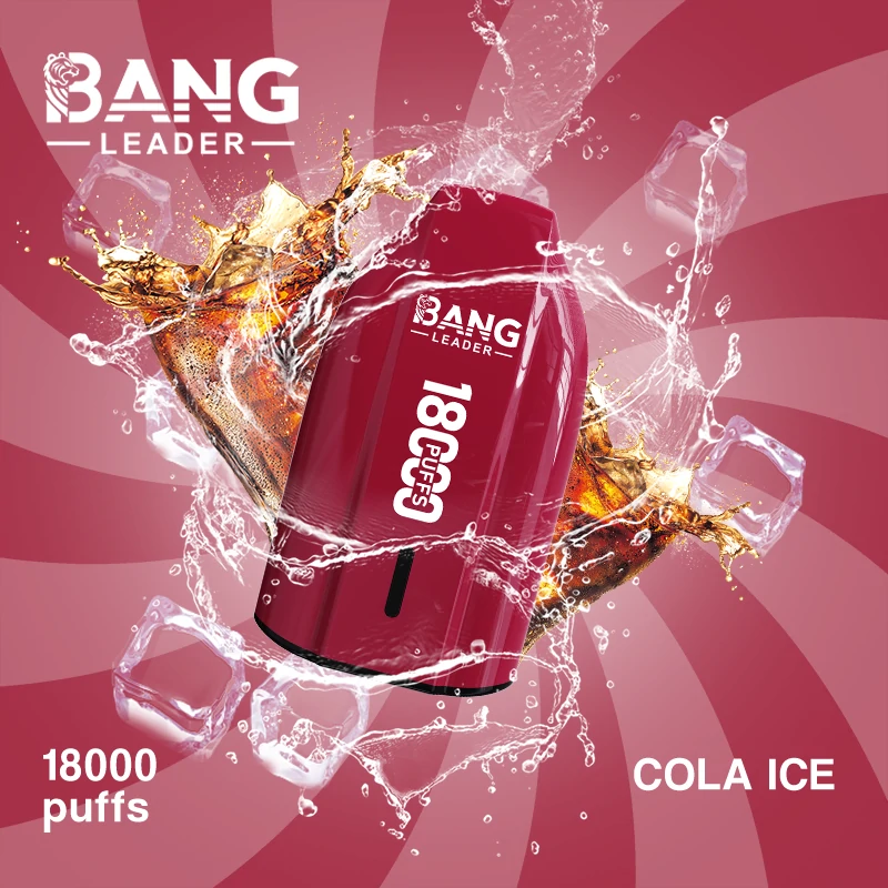 Bang Leader 18000 18K Bouffées Vape jetable - image 6