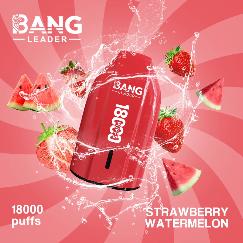 Bang Leader 18000 18K Bouffées Vape jetable - image 13