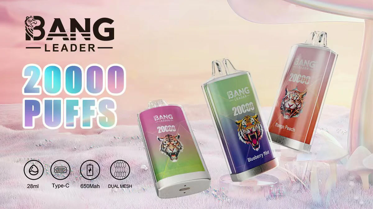 Bang Leader 20000 20K Bouffées Mesh Coil Vape jetable - image 4