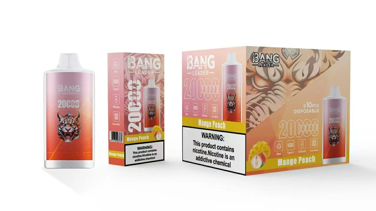 Bang Leader 20000 20K Bouffées Mesh Coil Vape jetable - image 11