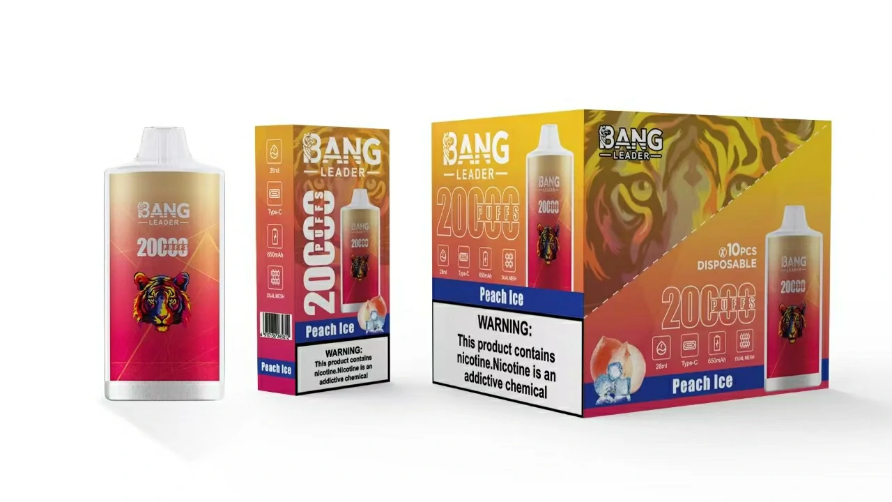 Bang Leader 20000 20K Bouffées Mesh Coil Vape jetable - image 6