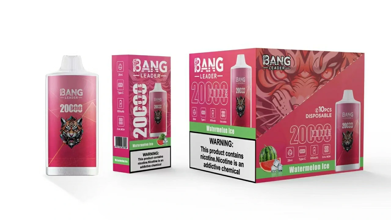 Bang Leader 20000 20K Bouffées Mesh Coil Vape jetable - image 12